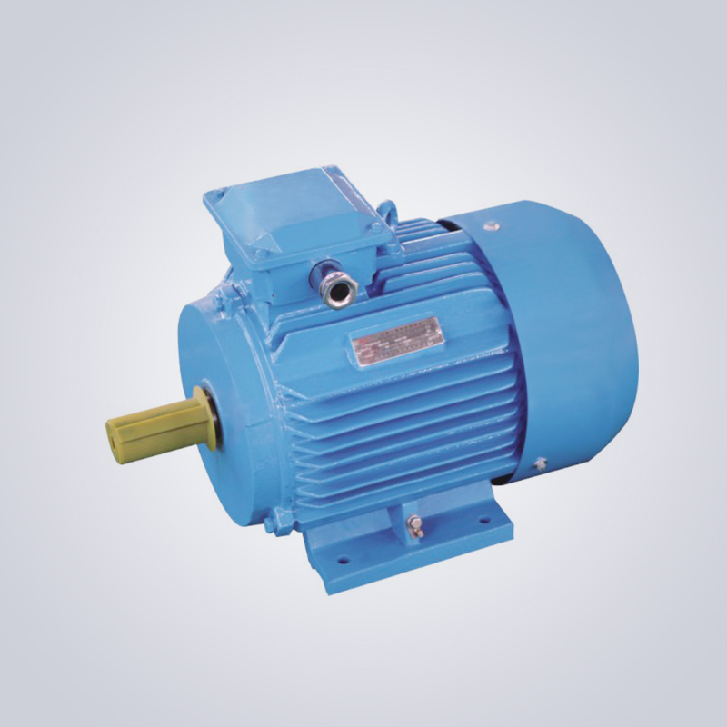 Y-H系列船用三相異步電動(dòng)機(jī)