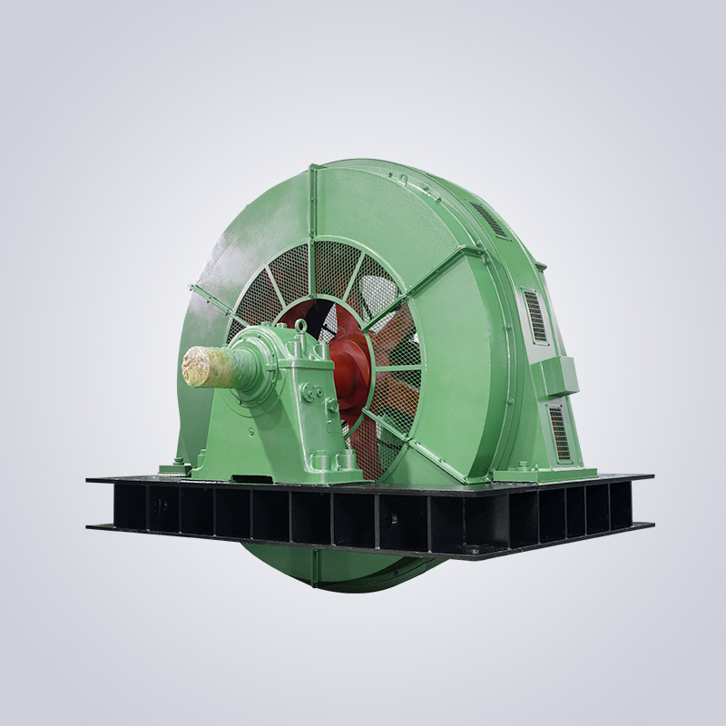 T系列大型高壓三相同步電動(dòng)機(jī)